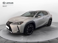 Lexus Other 2019