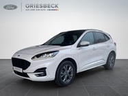Ford Kuga 2022