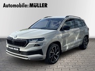 Skoda Karoq 2024