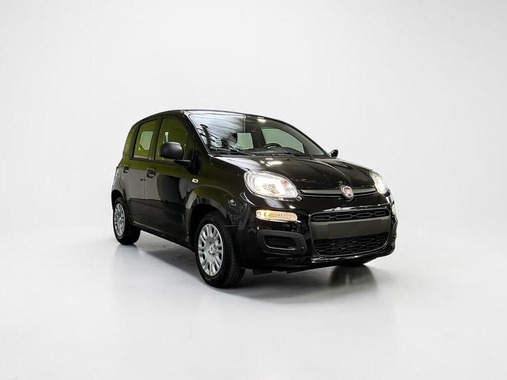 Fiat Other 2026