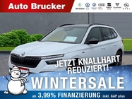 Skoda Kamiq 2022