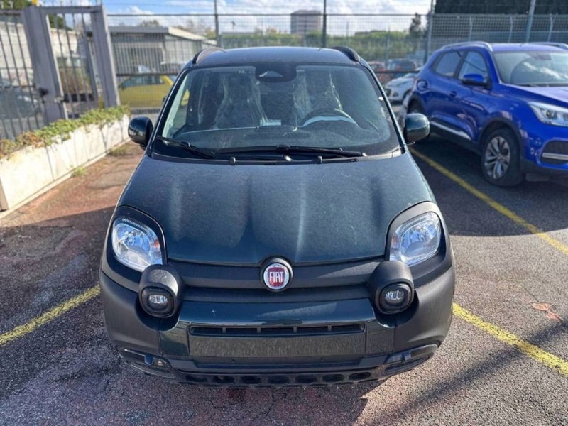 Fiat Other