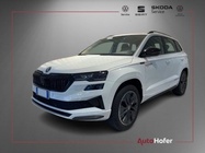 Skoda Karoq 2025