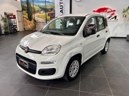 Fiat Panda 2019