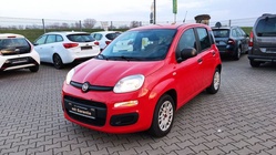 Fiat Panda 2019