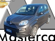Fiat Panda 2023