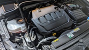 Фото 11