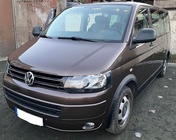 Volkswagen T5 2010