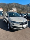 Skoda Karoq 2020