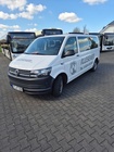Volkswagen T6 2019