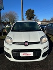 Fiat Panda 2019