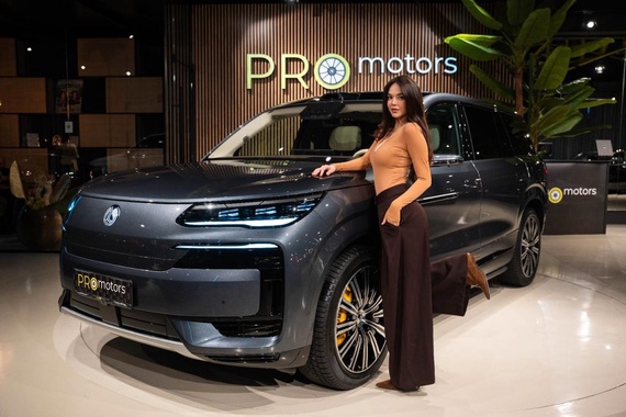 BYD Other 2025