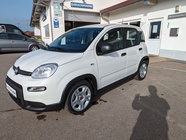 Fiat Panda 2024