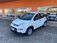 Fiat Panda 2023