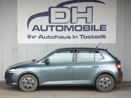 Skoda Fabia 2019