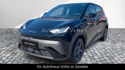 BYD Dolphin 2025