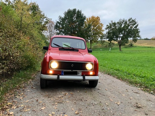 Renault R 4 1989