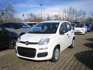 Fiat Panda 2025