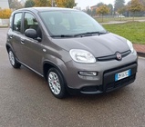 Fiat Panda 2022