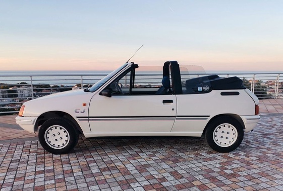 Peugeot 205 1989