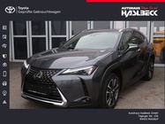 Lexus UX 2023