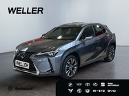 Lexus UX 2022