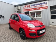 Fiat Panda 2019