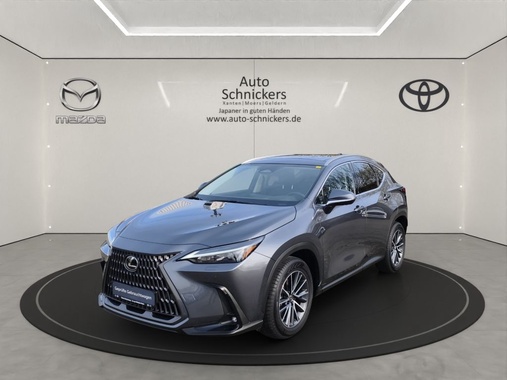 Lexus NX 2024