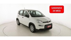 Fiat Panda 2024
