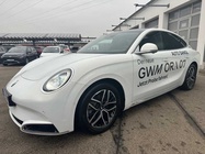 Great Wall Ora 07 2024