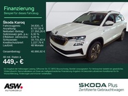 Skoda Karoq 2025