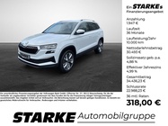 Skoda Karoq 2025