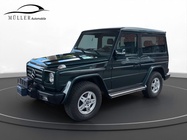 Mercedes-Benz G-Class 2010