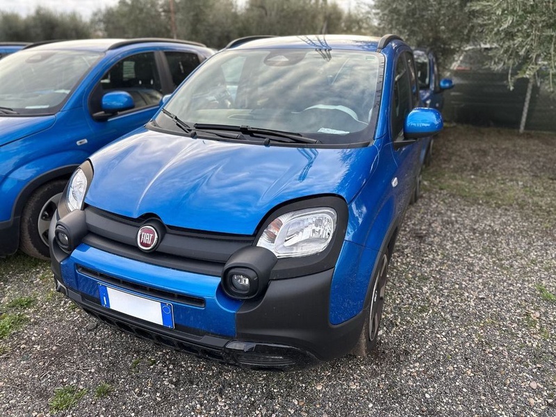 Fiat Other
