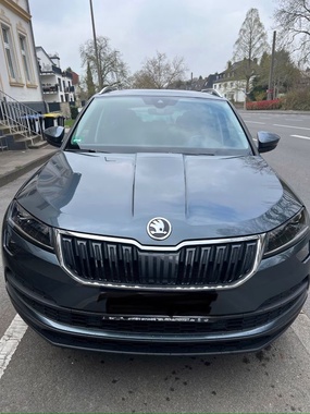 Skoda Karoq 2019