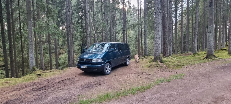 Volkswagen T4