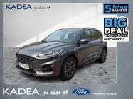Ford Kuga 2022