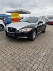 Jaguar XF 2010