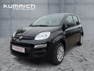 Fiat Panda 2026