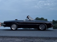 Alfa Romeo Spider 1982