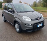 Fiat Panda 2022