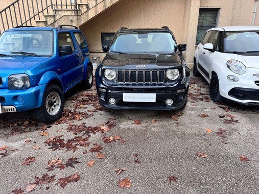 Jeep Renegade 2019