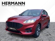 Ford Kuga 2022