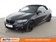 BMW 2 Series 2019