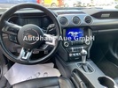 Фото 6
