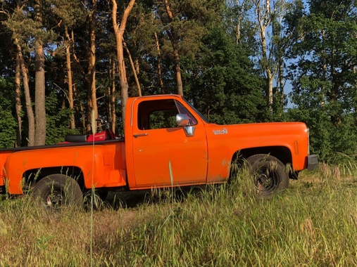 Chevrolet Other 1980