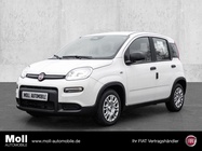 Fiat Panda 2025