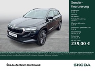 Skoda Karoq 2025
