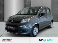 Fiat Panda 2022