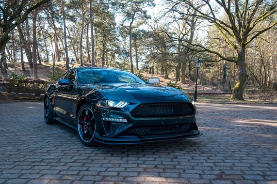 Ford Mustang 2019